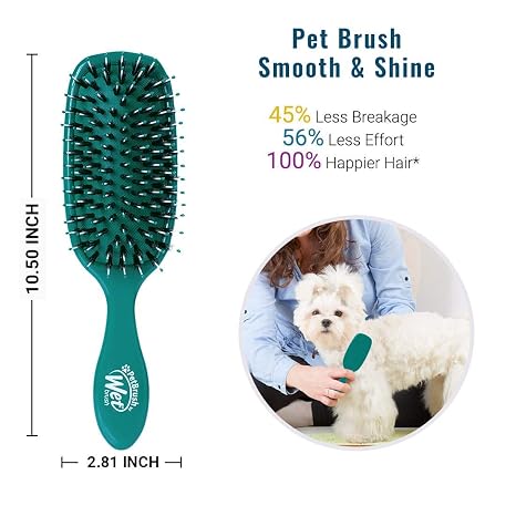 Wet Brush - Pet Smooth C Shine Detangler
