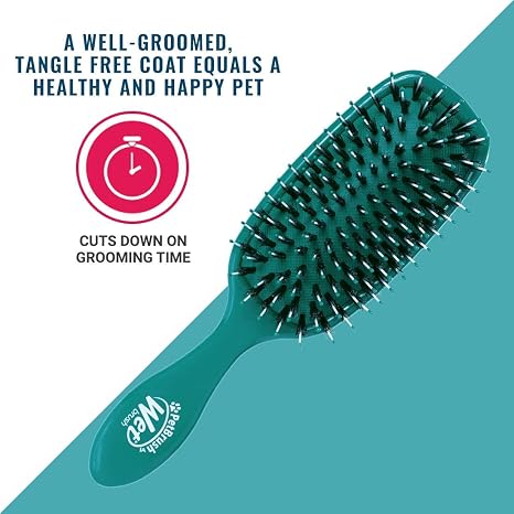 Wet Brush - Pet Smooth C Shine Detangler