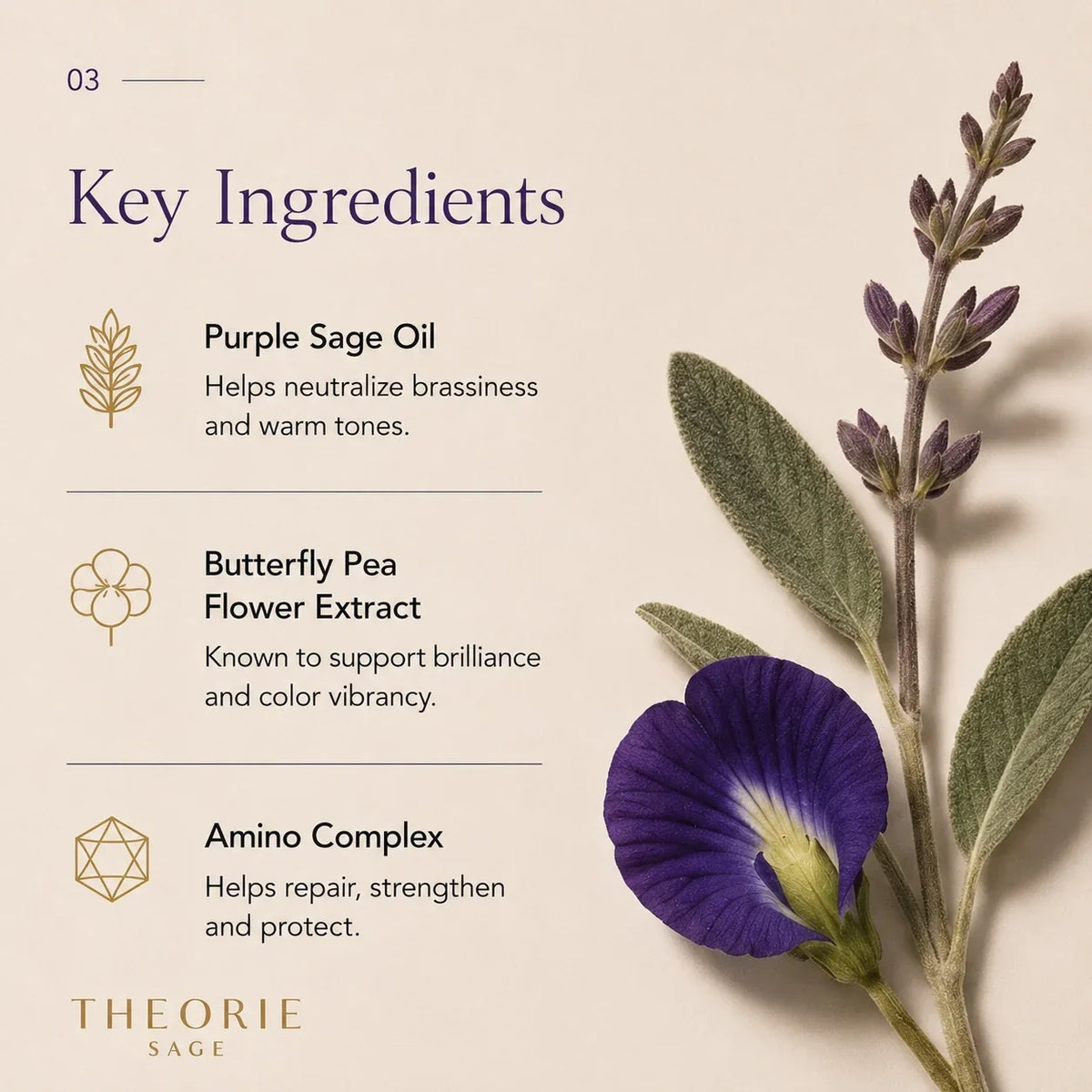 Theorie - Purple Sage Blonde Conditioner 800ml