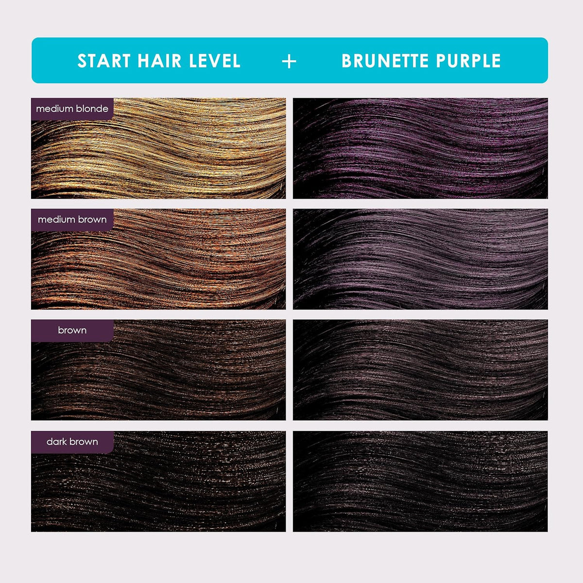 Keracolor - Color + Clenditioner Brunette Purple 355ml - Nexus hair