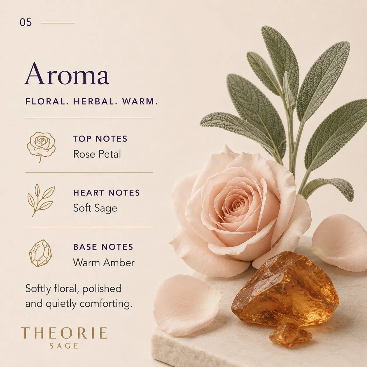 Theorie - Amber Rose Shampoo 400ml