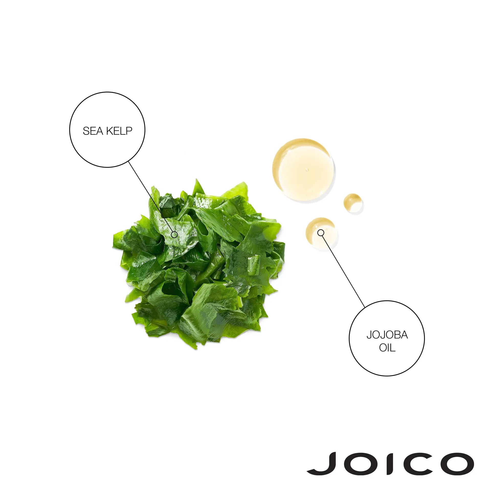 Joico - Moisture Recovery Shampoo 1000ml